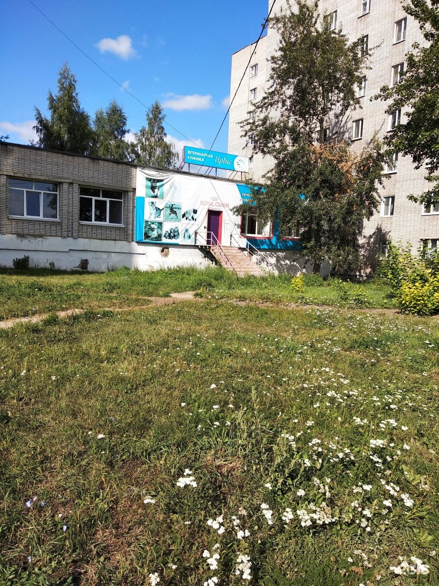 Ветеринарная клиника ул оружейника драгунова 64 фото