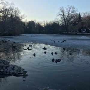 Фото от владельца Городской парк