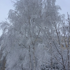 Фото от владельца Родильный дом №4, Городская клиническая больница №8