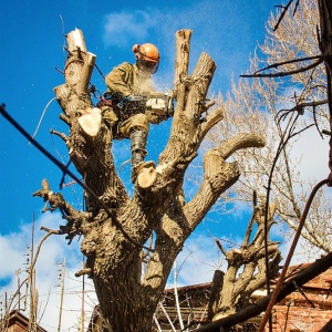 Фото от владельца HardWork64, компания