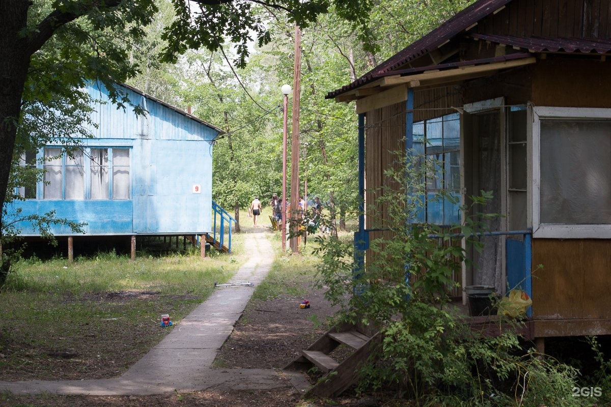 Дубовая грива турбаза саратов фото