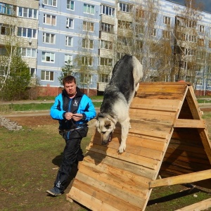 Фото от владельца Феникс, кинологический центр