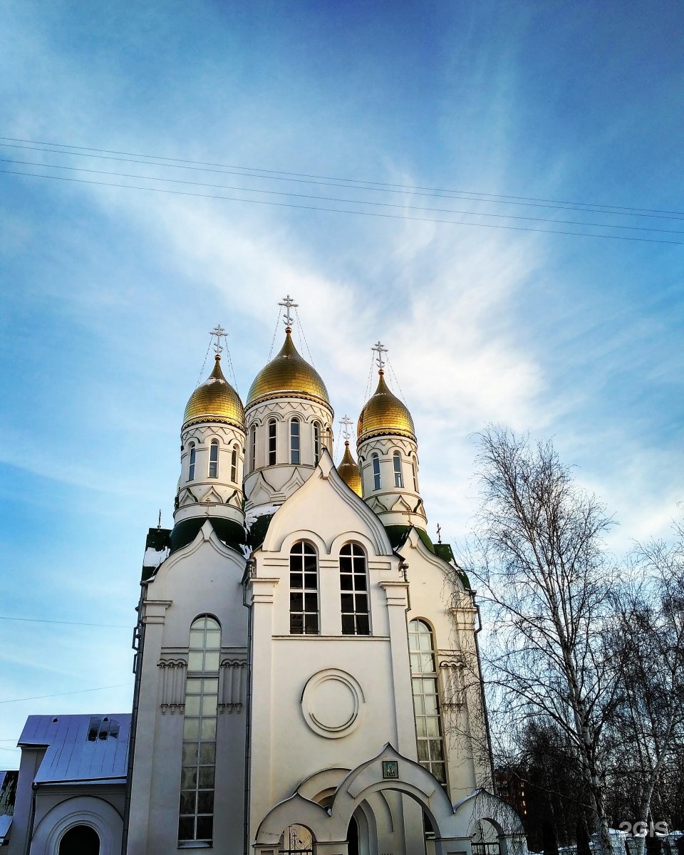 Церковь невского. Александро-Невский храм Рязань. Приход Александро Невской церкви Рязань. Храм Александра Невского Челябинск. Церковь в Дашках Рязань.