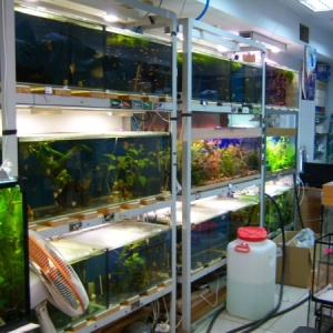 Фото от владельца Подводный мир, магазин аквариумистики