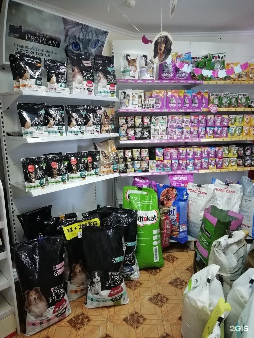 зоомагазин пушистик магнитогорск. зоомагазин пушистик,ассортимент. зоомагазин пушистик минеральные воды. пушистики зоомагазин казань. зоомагазин пушистик магнитогорск.