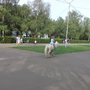 Фото от владельца Парк им. 50-летия СССР