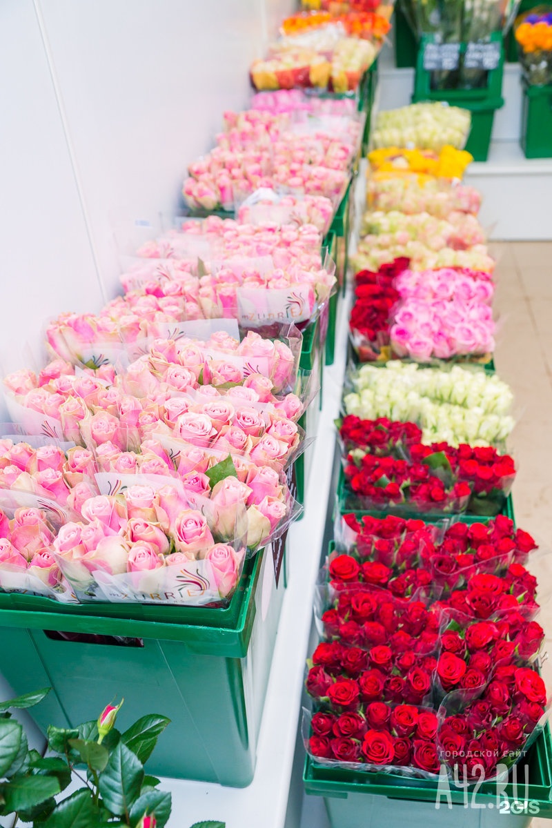 Купить розы в магазине недорого