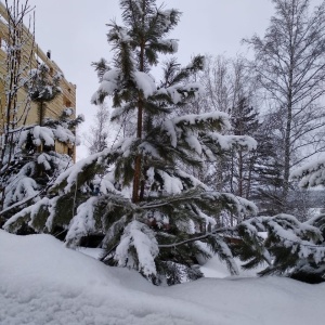 Фото от владельца Бегемот, база отдыха