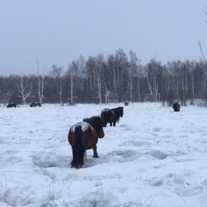 Фото от владельца Альфатест, республиканский центр охраны труда и сертификации