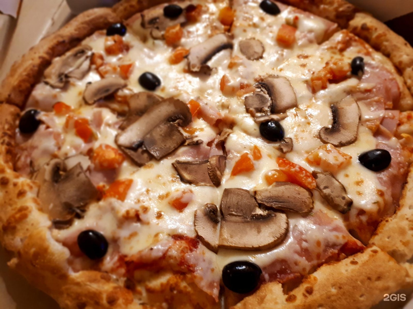 пицца в хлебопечке панасоник 2501 рецепты пиццы фото 77