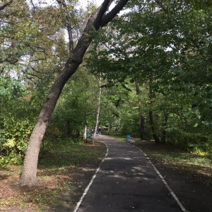 Фото от владельца Городской парк культуры и отдыха, МП