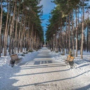 Фото от владельца Парк Победы