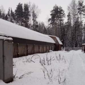 Фото от владельца Серебряная подкова, конный клуб