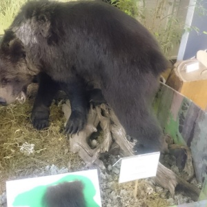 Фото от владельца Кировский областной краеведческий музей