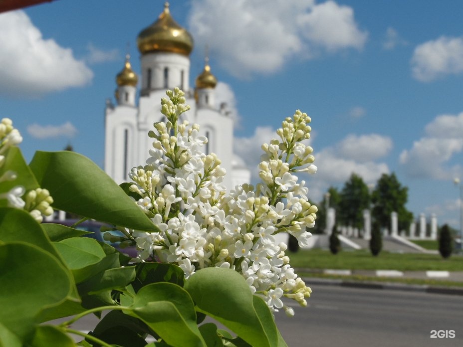 Храм рождества старый оскол. Храм Рождества Христова Кобрин. Храм Рождества Христова старый Оскол. Церковь Рождества Христова Коломна. Храм Рождества Христова старый Оскол фото и рисунки.