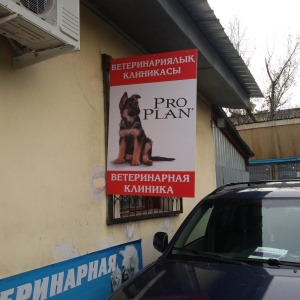 Фото от владельца Ветеринарная клиника, ИП Улкенбаева У.О.