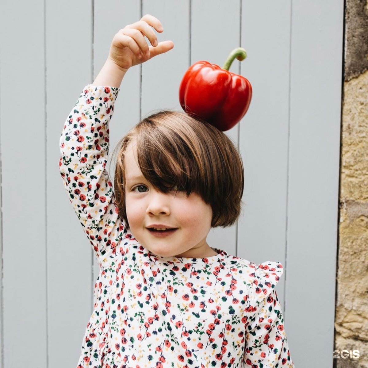 Mon petit детская одежда франция. дольче петит детская одежда. Petit bateau слоган. французская марка детской одежды. дольче петит детская одежда.