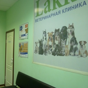 Фото от владельца Lakki, ветеринарная клиника