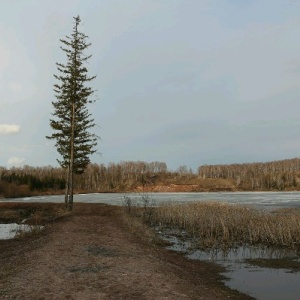 Фото от владельца Раухова мельница, база отдыха