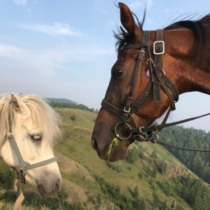 Фото от владельца Каприоль, конно-любительский клуб