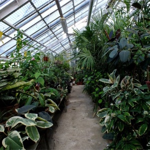 Фото от владельца Ботанический сад-институт, ПГТУ