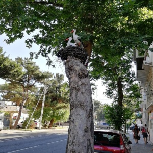 Фото от владельца Диамант, гостевой дом