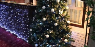 Новороссийск: Отель Dublin