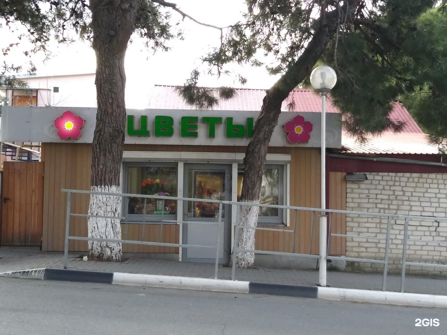 цветы грибоедова