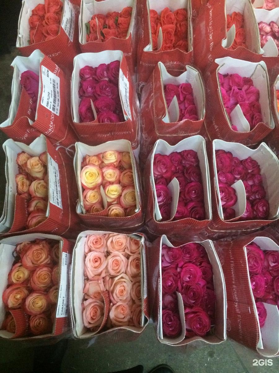 Оптовый рынок цветов в ростове. Поставщики цветов. Цветопт череповец. Цвет опт череповец. Цветопт череповец.