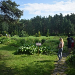 Фото от владельца Ботанический сад, ПетрГУ