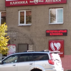 зоомир саранск химмаш. ветеринарная клиника на строительной саранск. ветеринарная клиника саранск ул лодыгина. ветеринарная клиника на строительной саранск. прайд ветеринарная клиника спб.