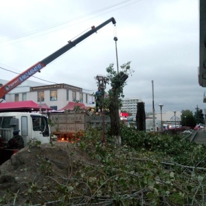 Фото от владельца Выездная служба по спилу деревьев