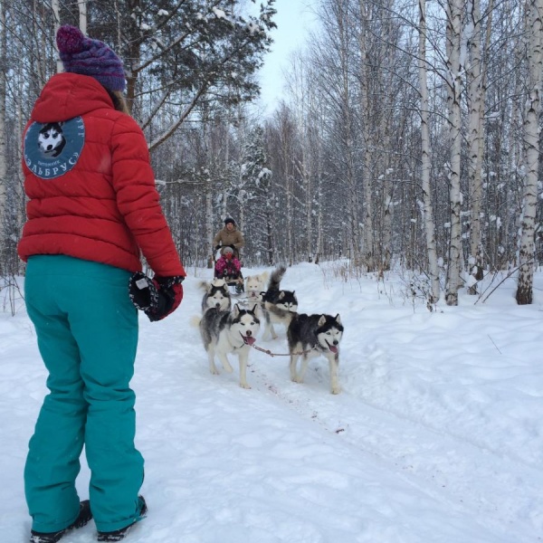 Хаски парк эльбрус екатеринбург. Питомник эльбрус екатеринбург. Питомник хаски эльбрус. Эльбрус питомник ездовых собак екатеринбург. Питомник хаски эльбрус.