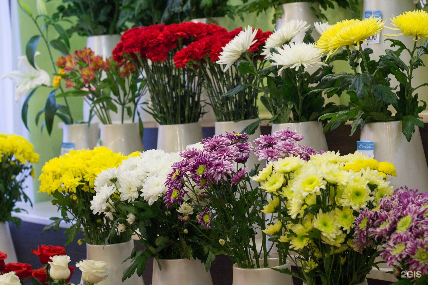 Максима горького 46. Цветочные магазины ревда. Заказать доставку цветов ревда свердловская область. Цветы ревда. Цветы ревда максима горького.