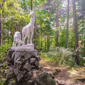 Фото от владельца Екатеринбургский Центральный Парк Культуры и Отдыха им. В.В. Маяковского