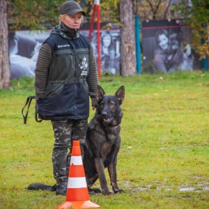 Фото от владельца Собачья Академия, центр дрессировки