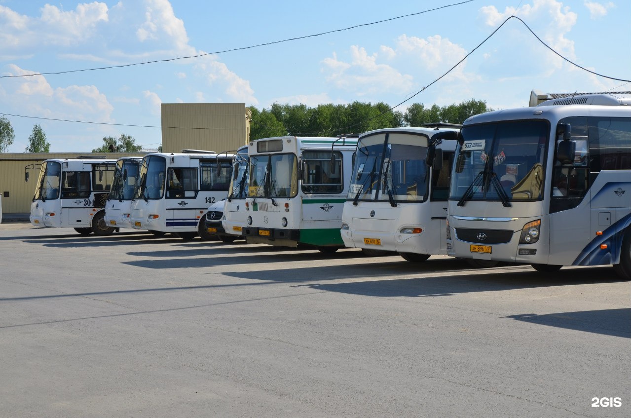 Автобусы тобольского патп. ПАТП Тобольск. Тобольское ПАТП. Фото ПАТП Тобольск.