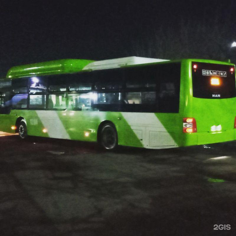 Остановки 131 автобуса. 131 Автобус. Питер автобус 131. Bus Tashkent 131. 131 Avtobus yo'nalishi.