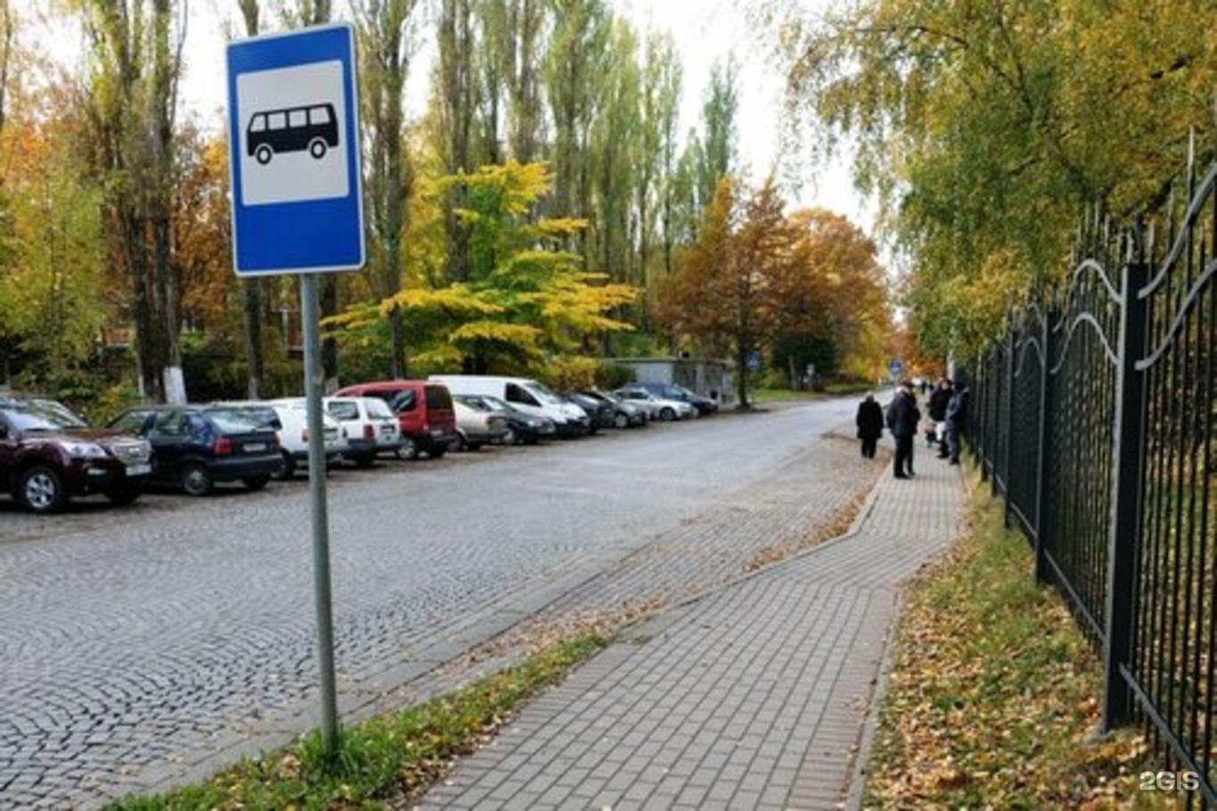 18 д остановки. Велодорожка Светлогорск Янтарный. Светлогорск смотровая площадка. Смотровая площадка Зеленоградск Янтарный. Остановка Светлогорск 1 автобусная.