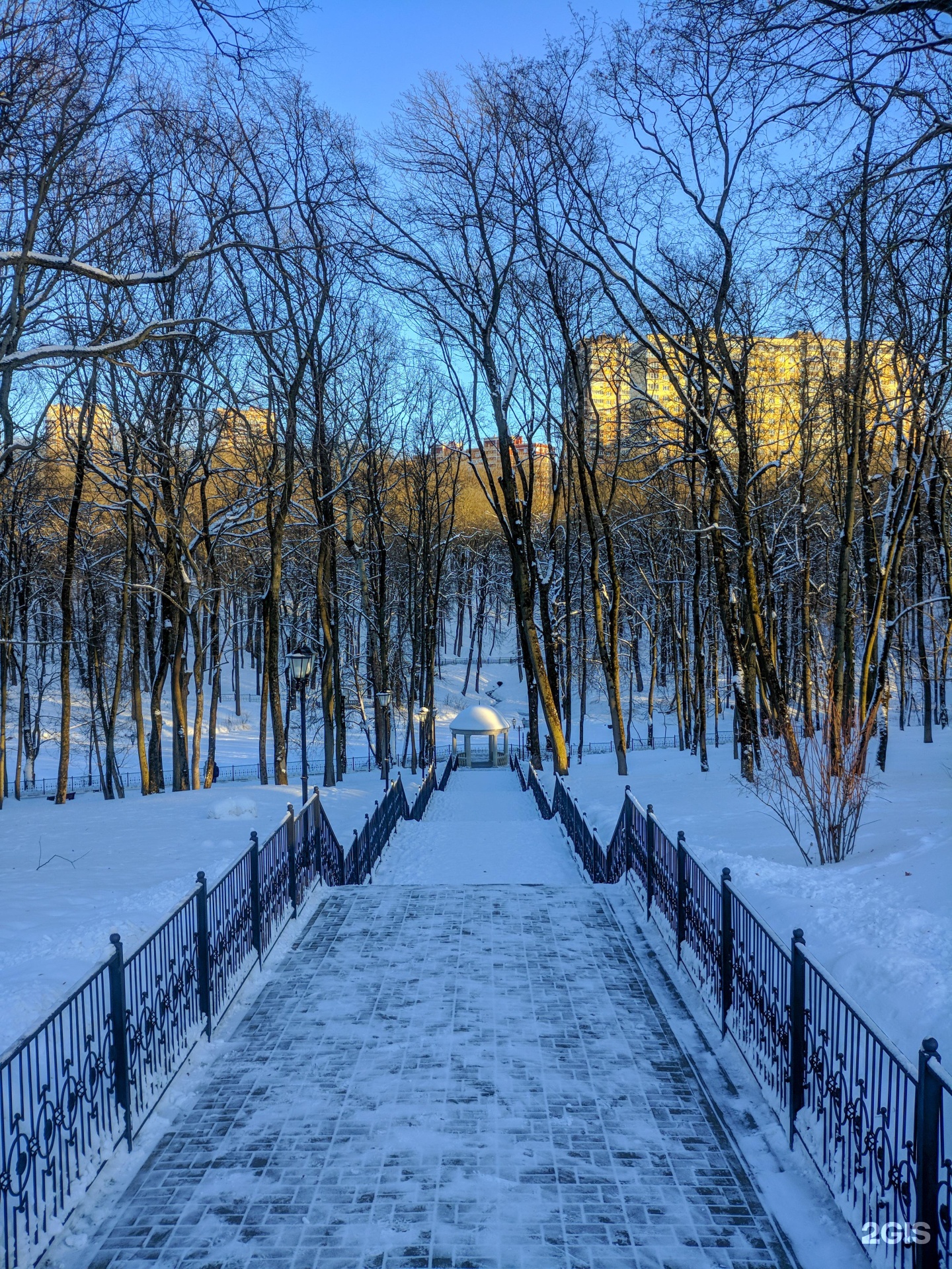 Платоновский парк зимой тула