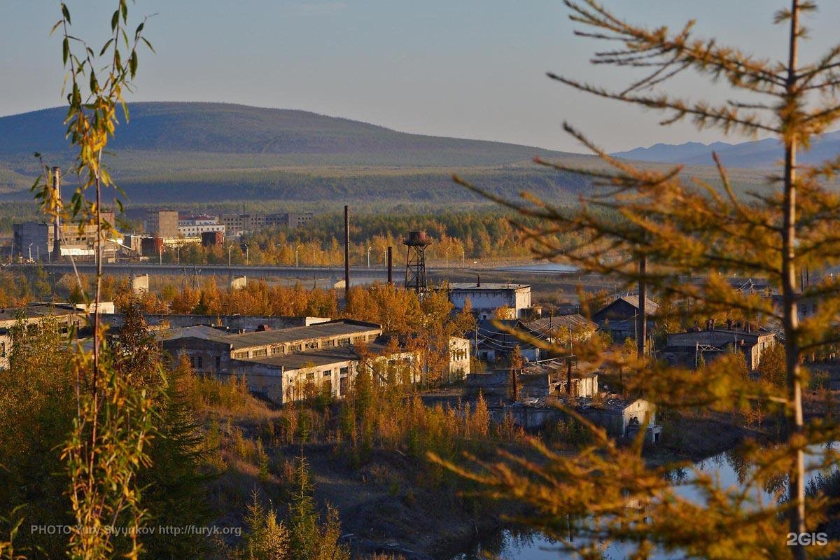 Морджот сусуман фото