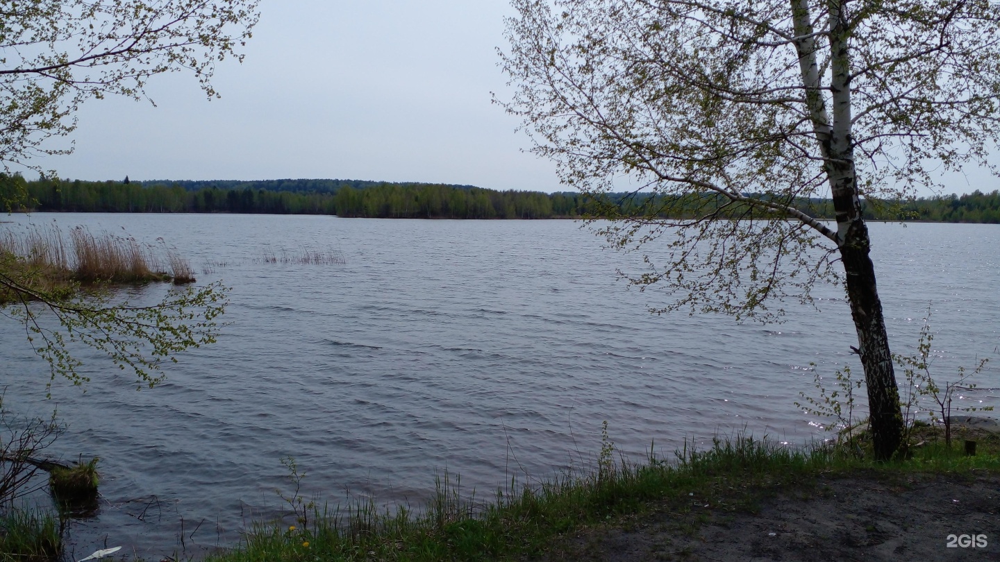 Озеро нефтехимовское томск фото