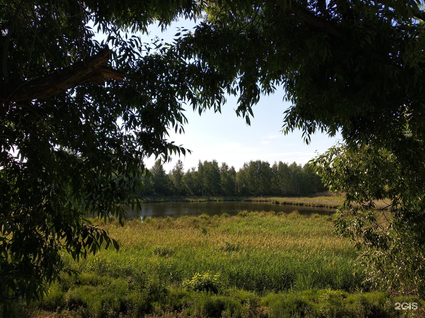 черное озеро в ульяновске