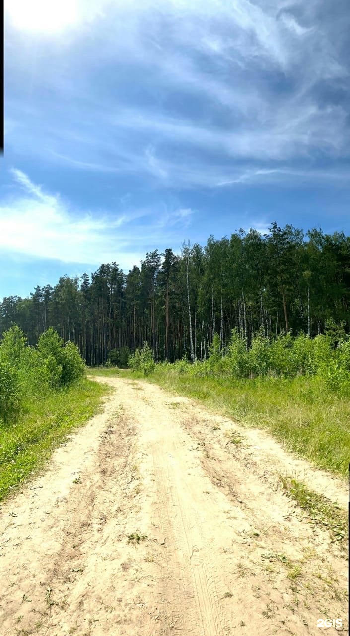 Оз Леданово Монино. Озеро Леданово. Озеро Леданово Монино фото. Озеро Леданово Монино рыбалка.