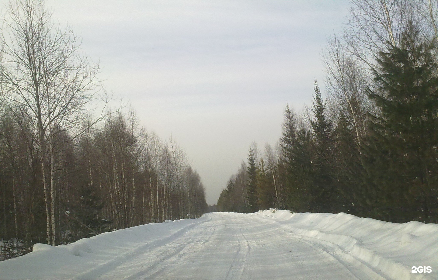 Снт красноярский край