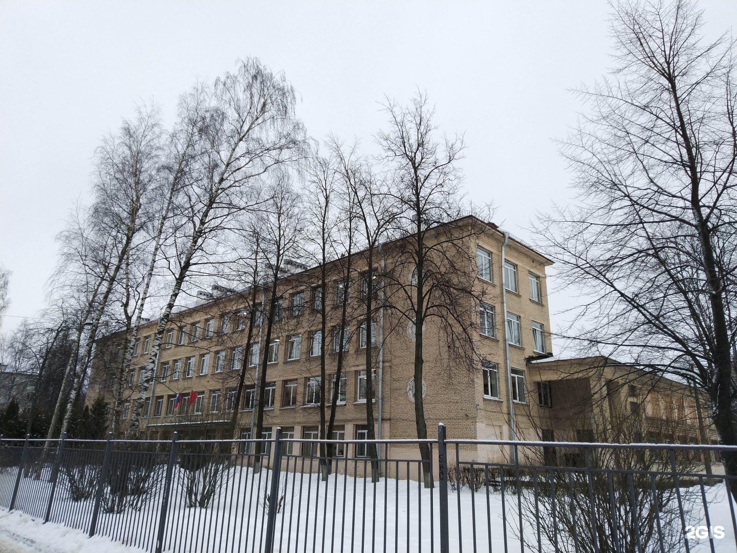 Школа 491