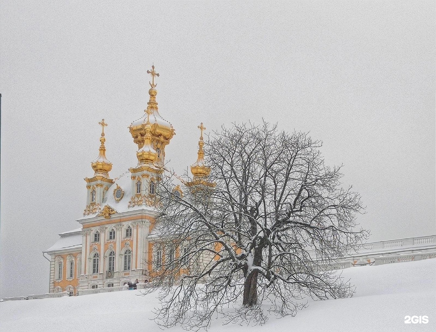 санкт петербург петергоф зимой