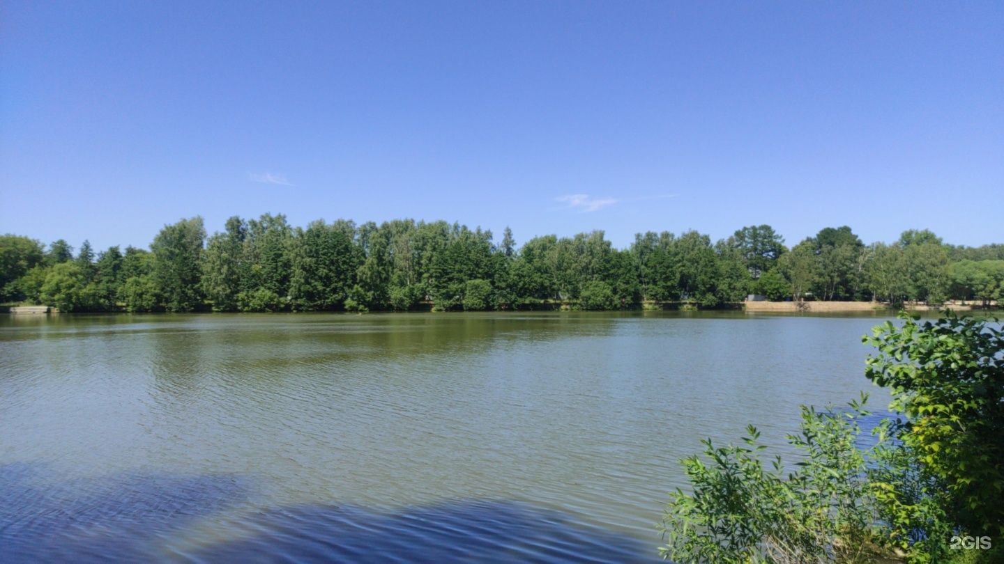 Проект Малаховское озеро тест картинки