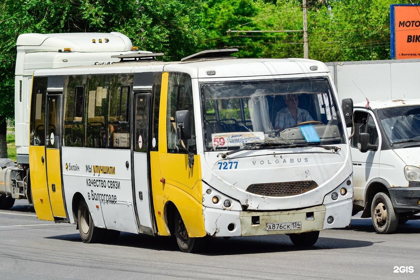 59 59 59 волгоград. Волгабас 4298. 4298 Автобус. Волгоградский автобус. Автобусы 4298 новый.