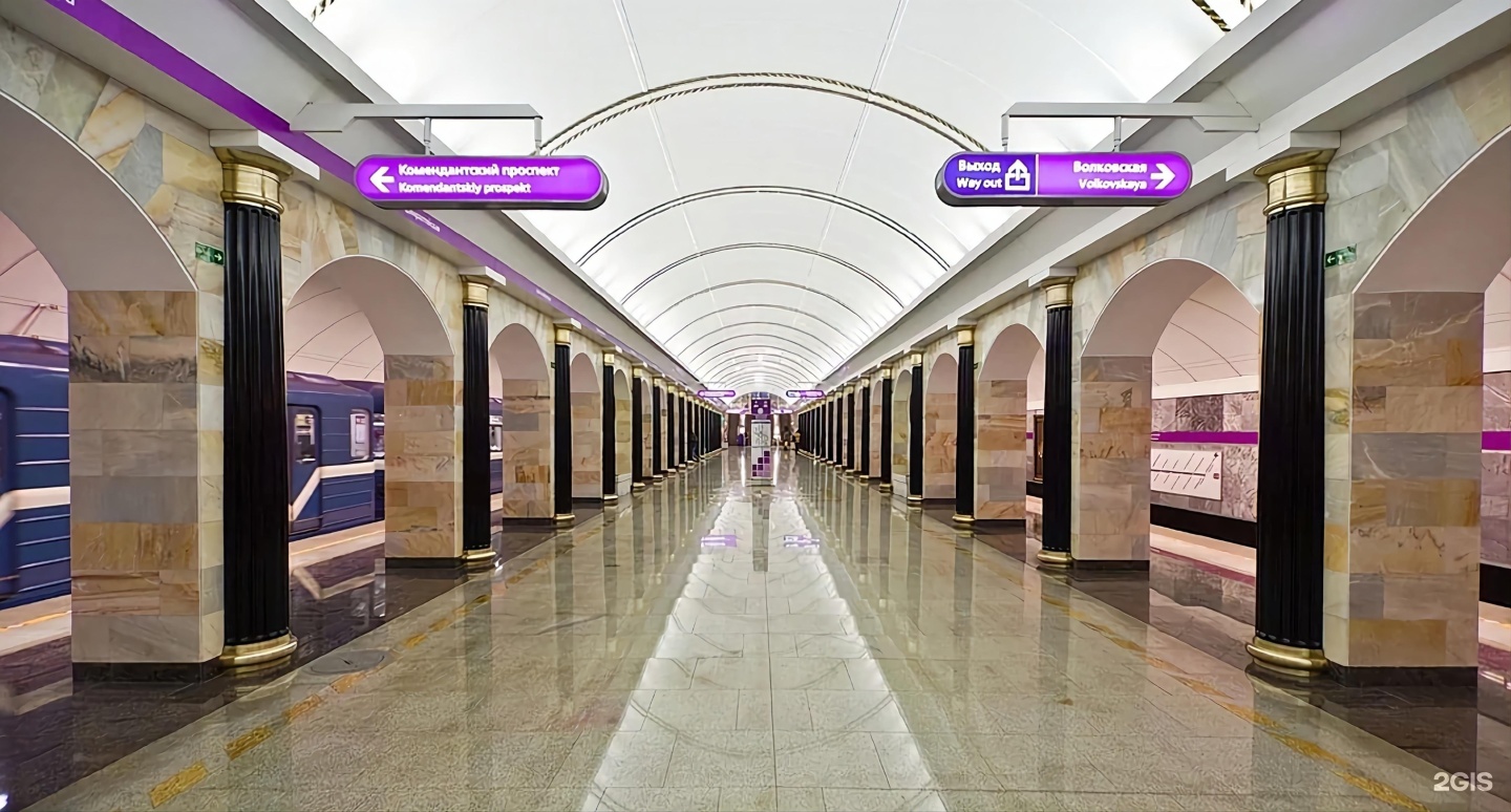 Фрунзенско-Приморская линия станция Чкаловская